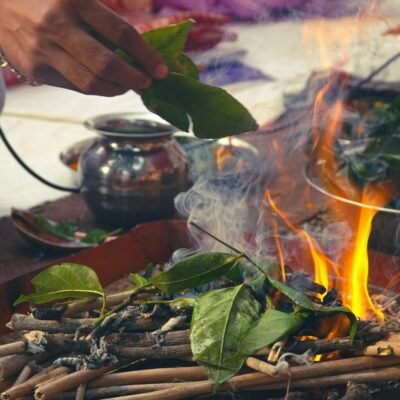 Shop Primary Image Shop Primary Image