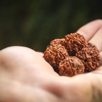 Shop Primary Image Shop Primary Image