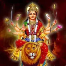 Shop Primary Image Shop Primary Image